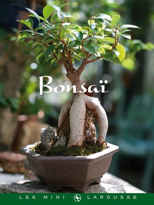 cover image of Bonsaï